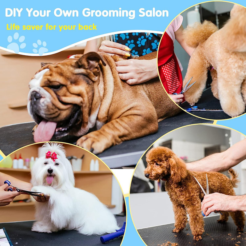 Sapphome Dog Grooming Table & Reviews Wayfair
